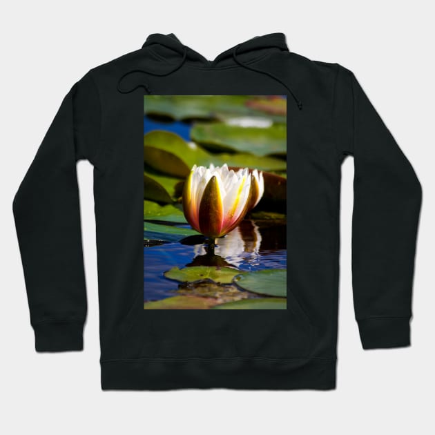 Water Lily Hoodie by Violaman